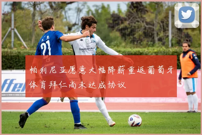 帕利尼亚愿意大幅降薪重返葡萄牙体育拜仁尚未达成协议
