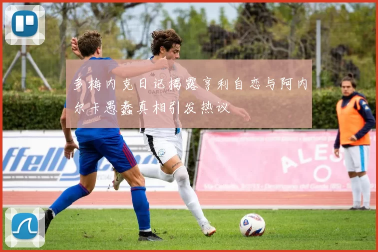 多梅内克日记揭露亨利自恋与阿内尔卡愚蠢真相引发热议